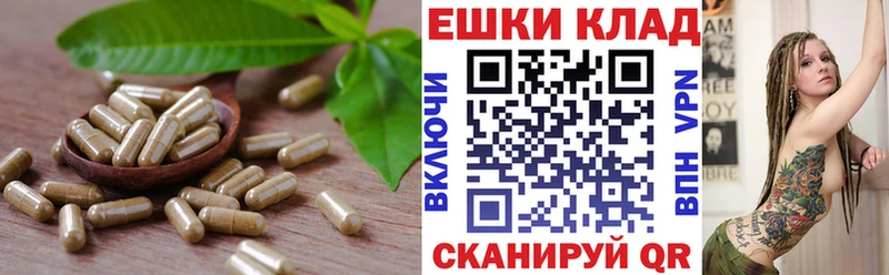 магазин продажи   ссылка на мегу зеркало  ЭКСТАЗИ таблы  Меленки 