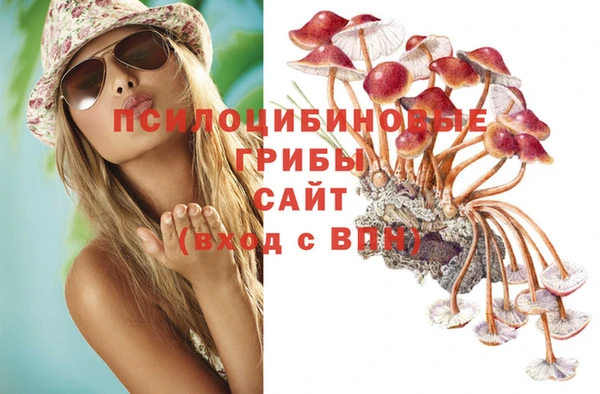 прущая мука Гусь-Хрустальный