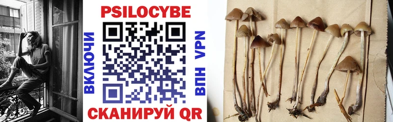 Галлюциногенные грибы Psilocybine cubensis  Меленки 